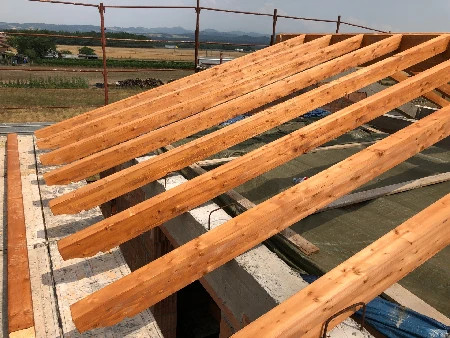 Costruzione tetto Novi Ligure